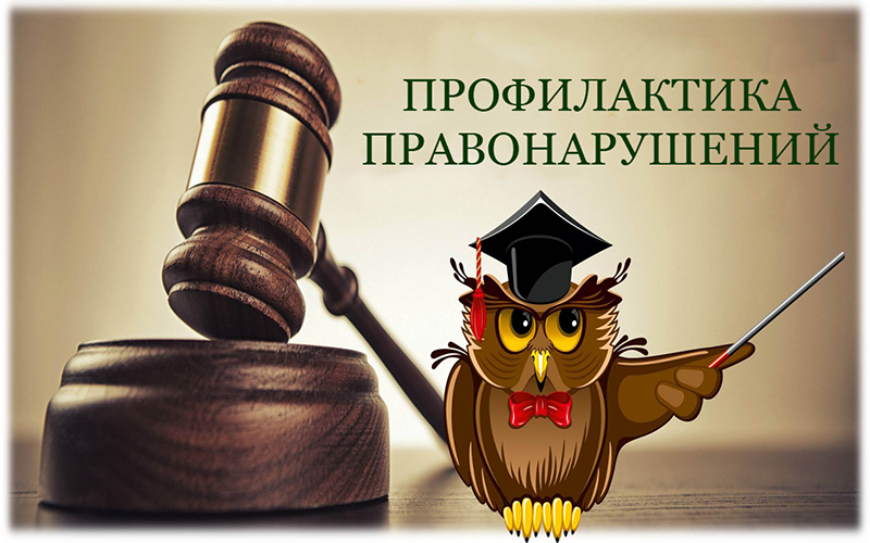 Профилактика правонарушений